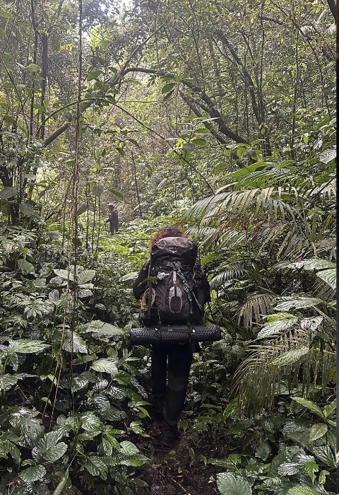 Gunung Hutan
